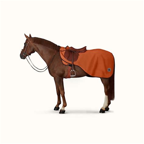 hermes oornetje paard|Hermes horse equipment.